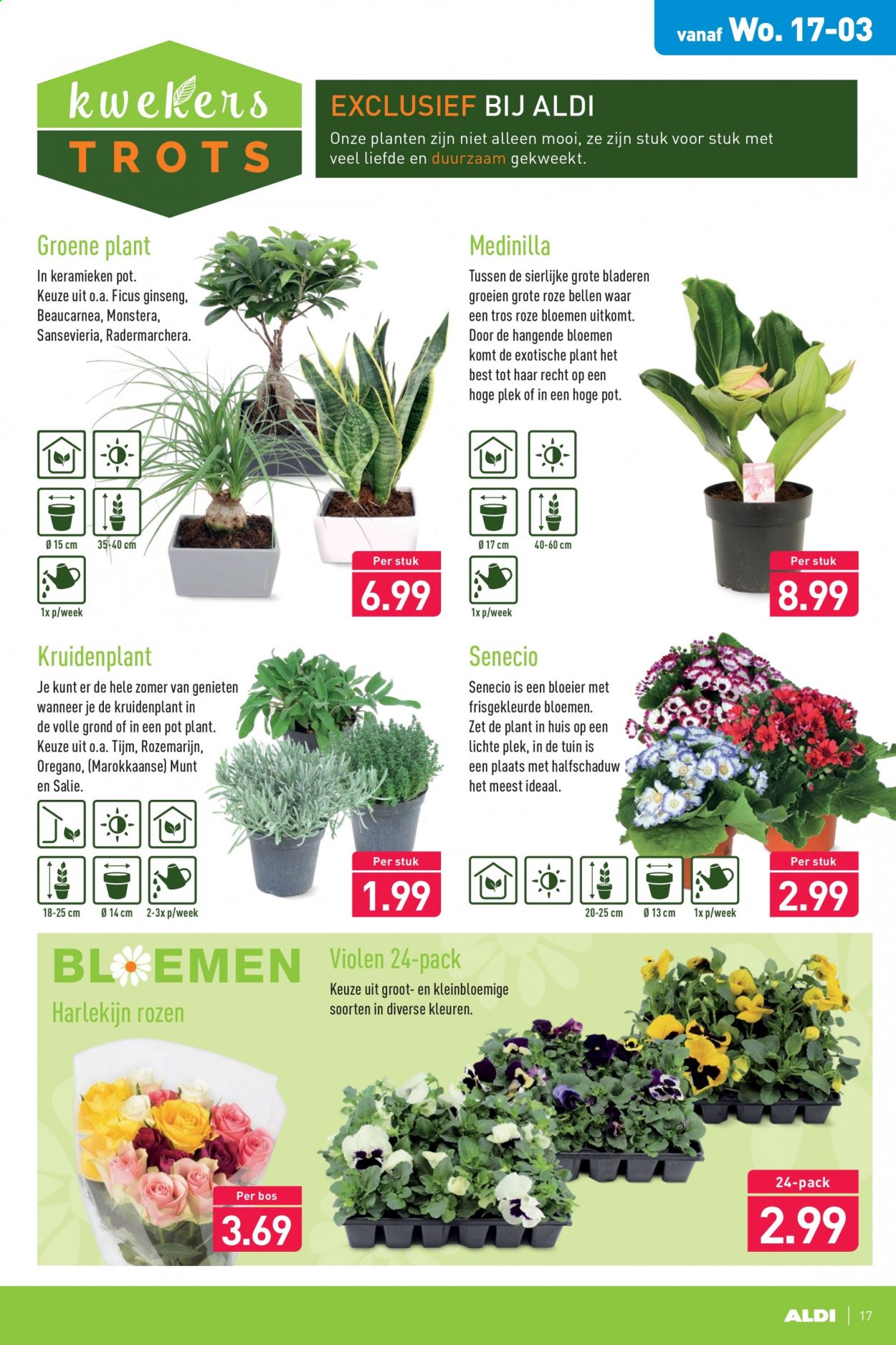 Aldi-aanbieding - 15-3-2021 - 21-3-2021. Pagina 17