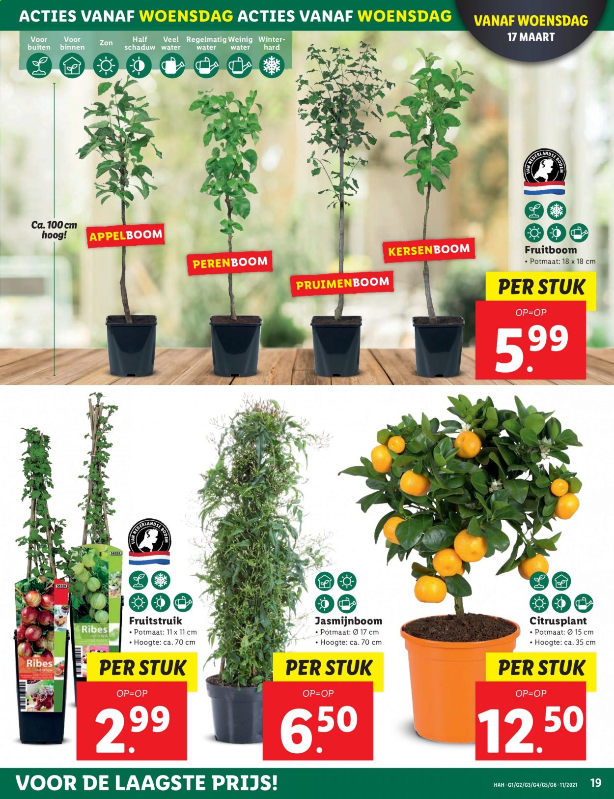 Lidl-aanbieding - 15-3-2021 - 21-3-2021. Pagina 19