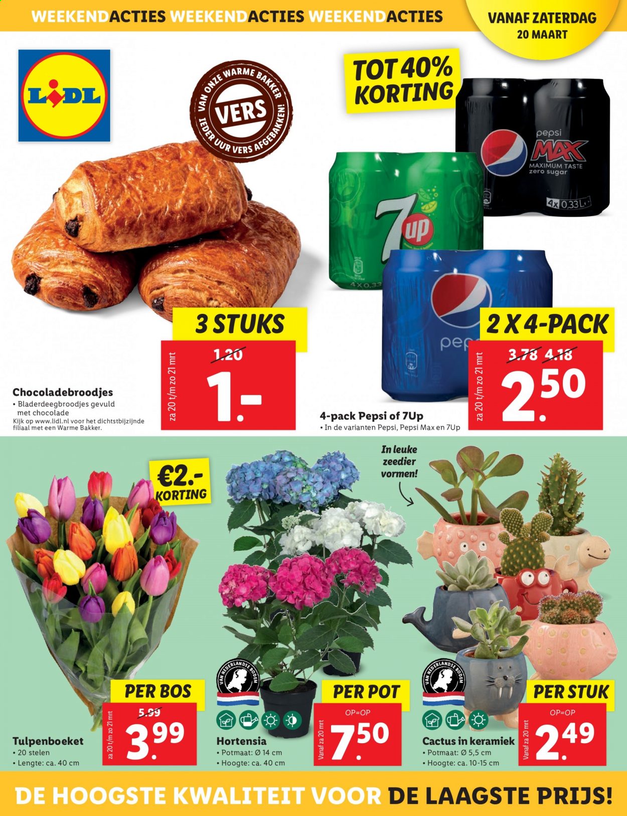 Lidl-aanbieding - 15-3-2021 - 21-3-2021. Pagina 36