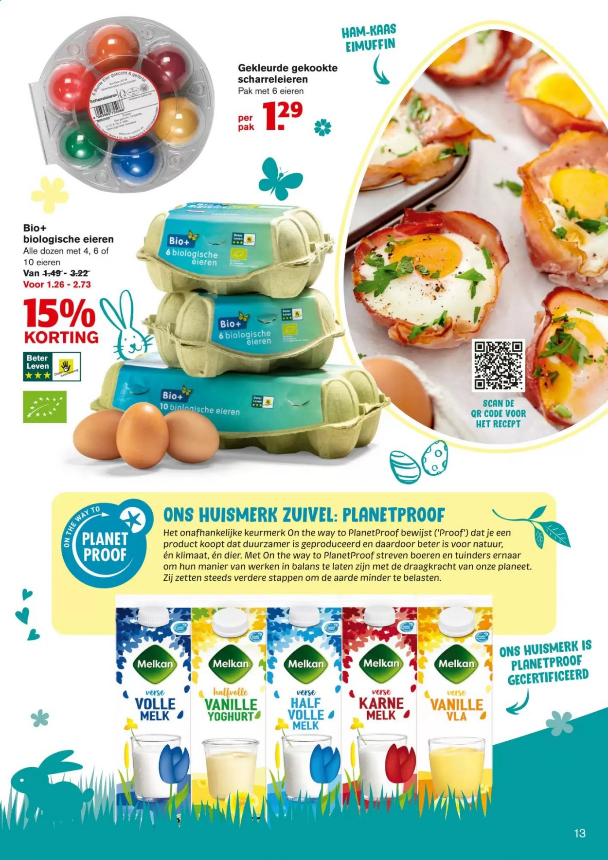 Hoogvliet-aanbieding. Pagina 13
