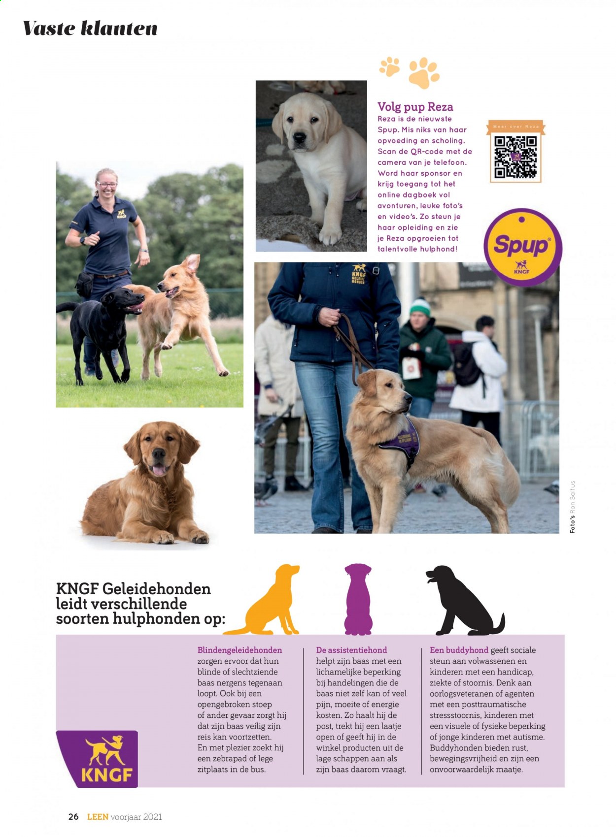 Hoogvliet-aanbieding. Pagina 26