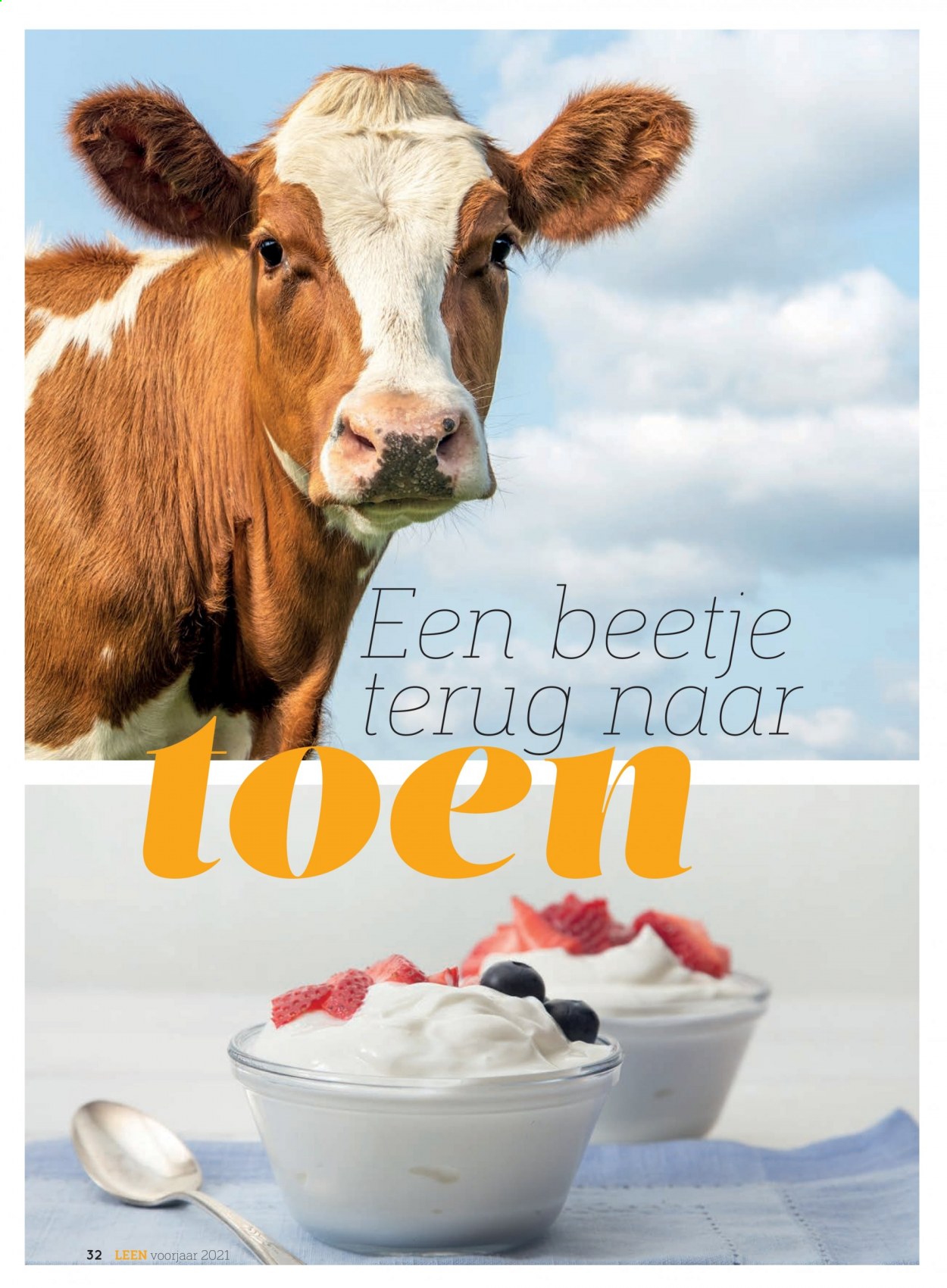 Hoogvliet-aanbieding. Pagina 32