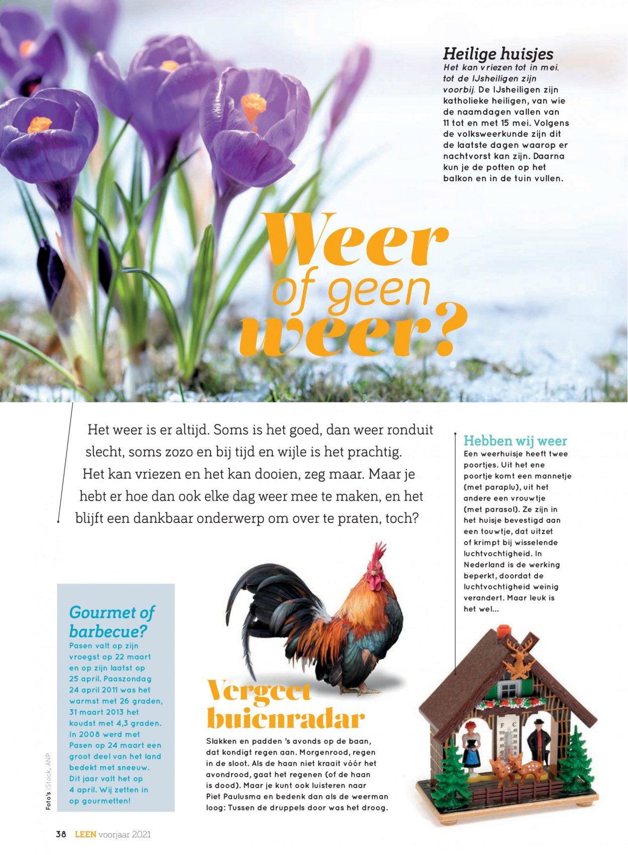 Hoogvliet-aanbieding. Pagina 38