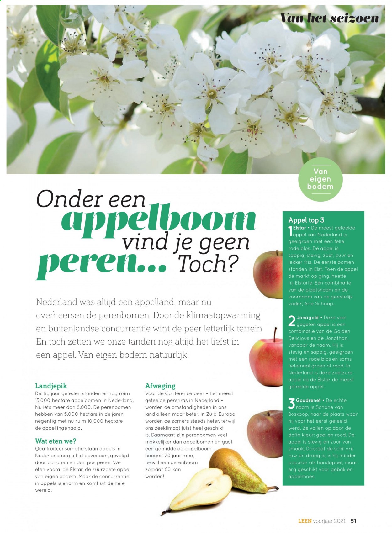 Hoogvliet-aanbieding. Pagina 51