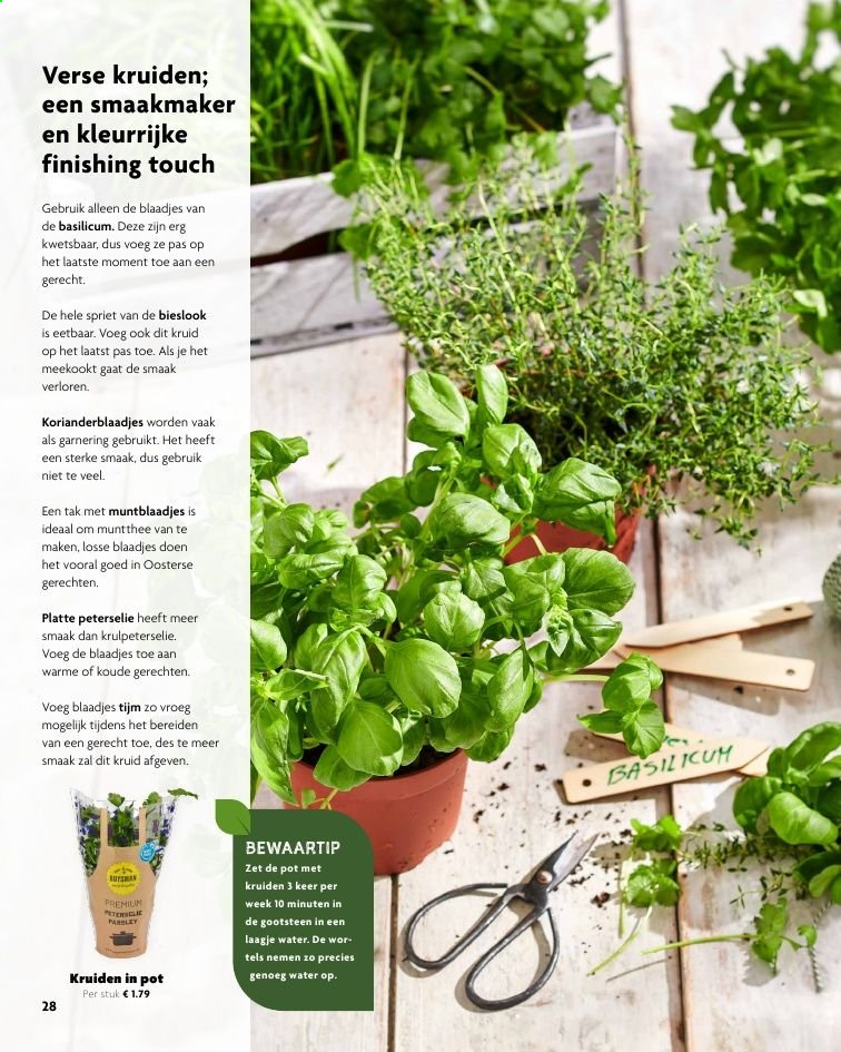 DekaMarkt-aanbieding. Pagina 28