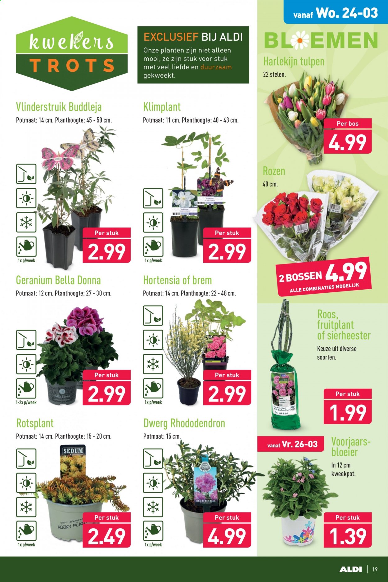 Aldi-aanbieding - 22-3-2021 - 28-3-2021. Pagina 19