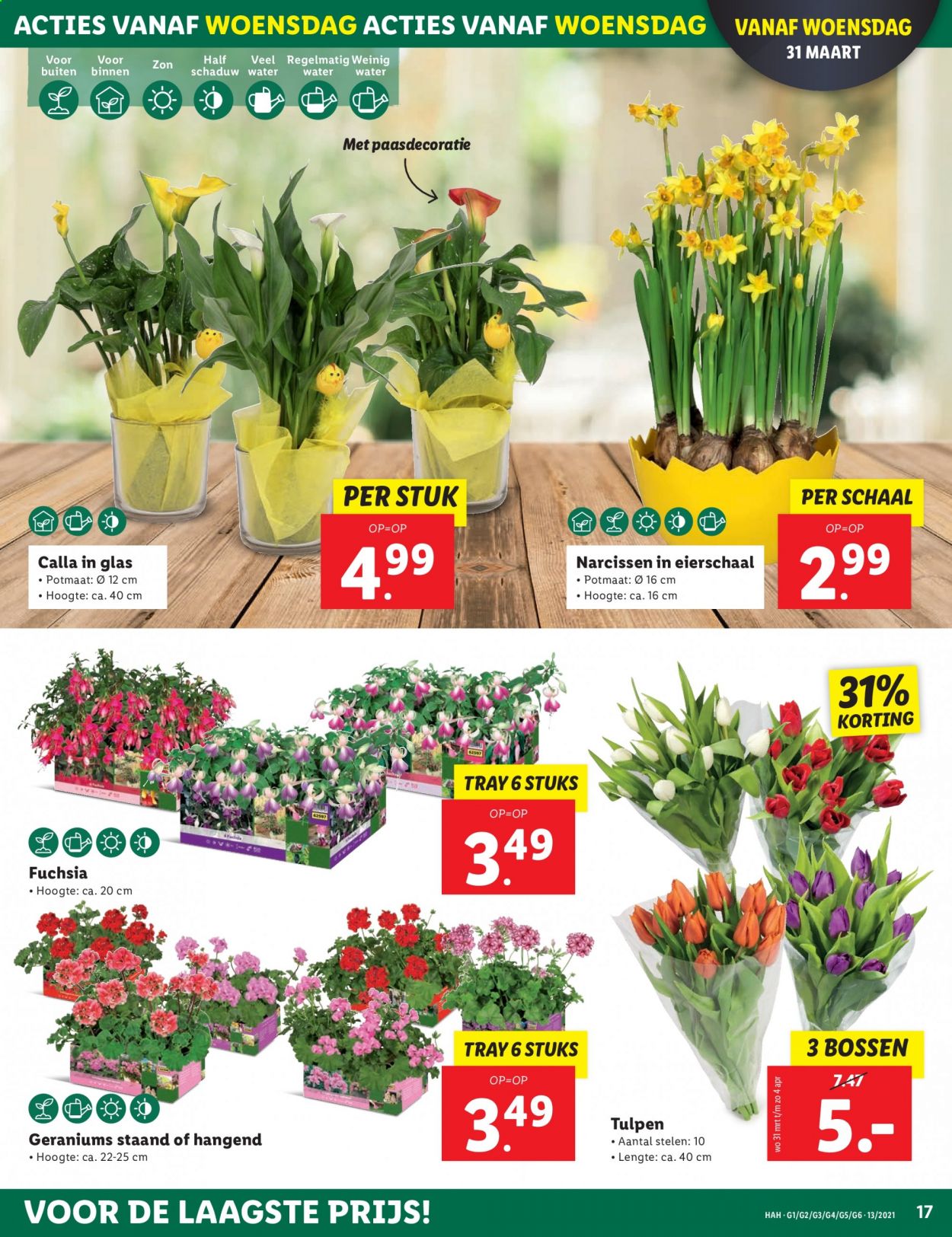 Lidl-aanbieding - 29-3-2021 - 5-4-2021. Pagina 17