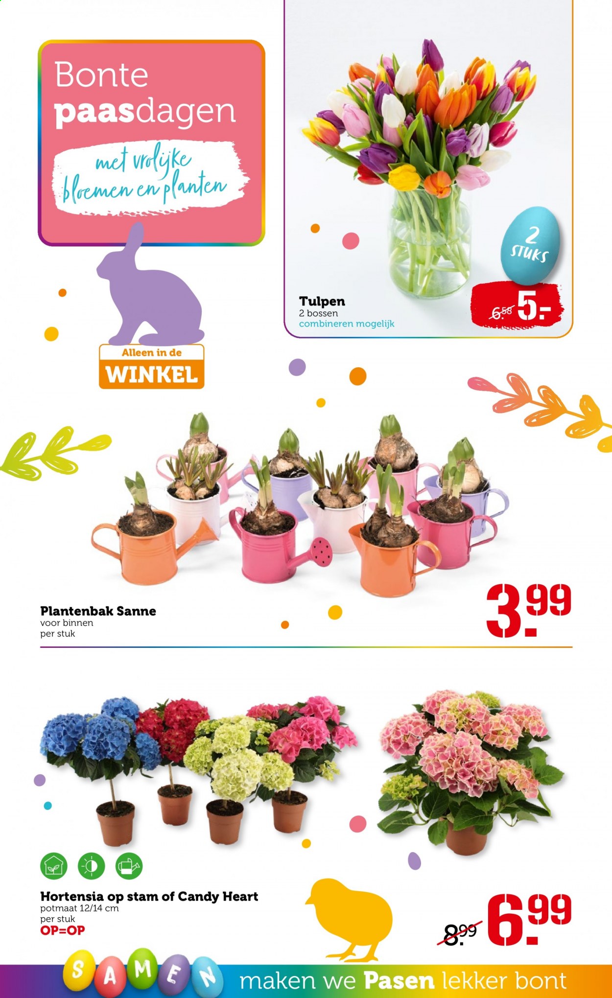 Coop-aanbieding - 29-3-2021 - 5-4-2021. Pagina 24