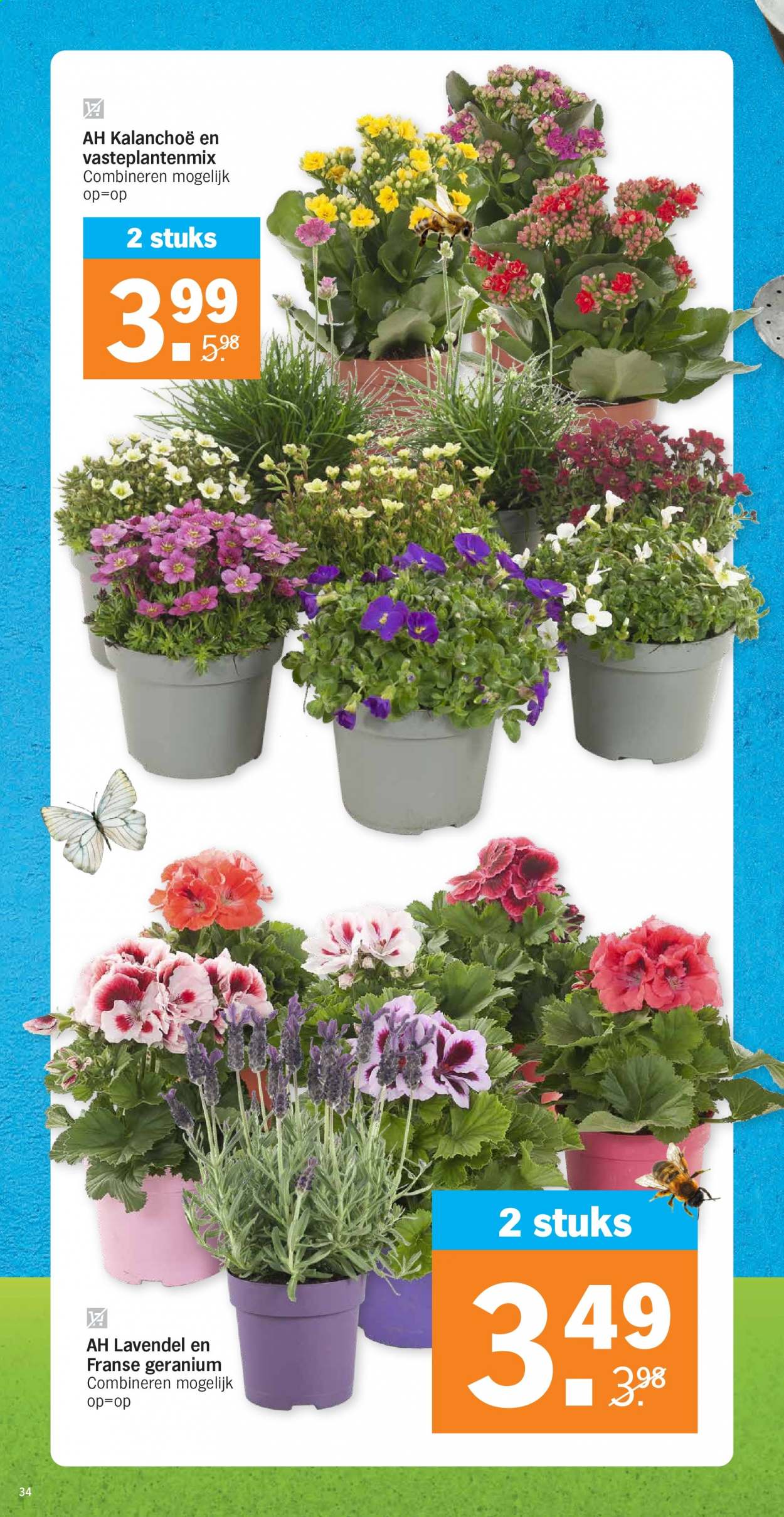 Albert Heijn-aanbieding - 6-4-2021 - 11-4-2021. Pagina 34