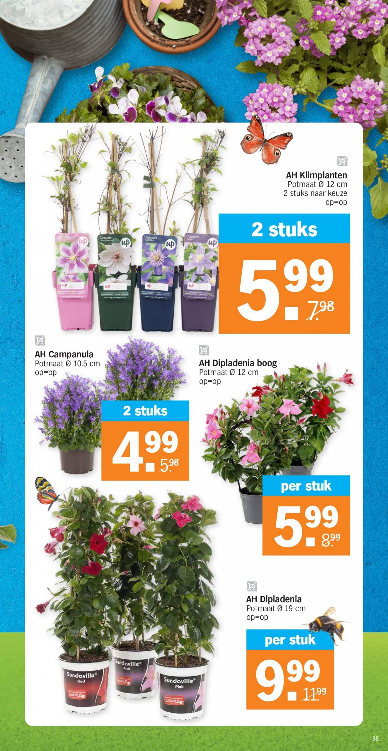 Albert Heijn-aanbieding - 6-4-2021 - 11-4-2021. Pagina 35
