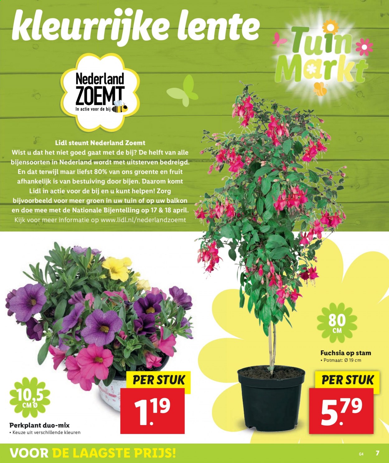 Lidl-aanbieding - 7-4-2021 - 16-4-2021. Pagina 7