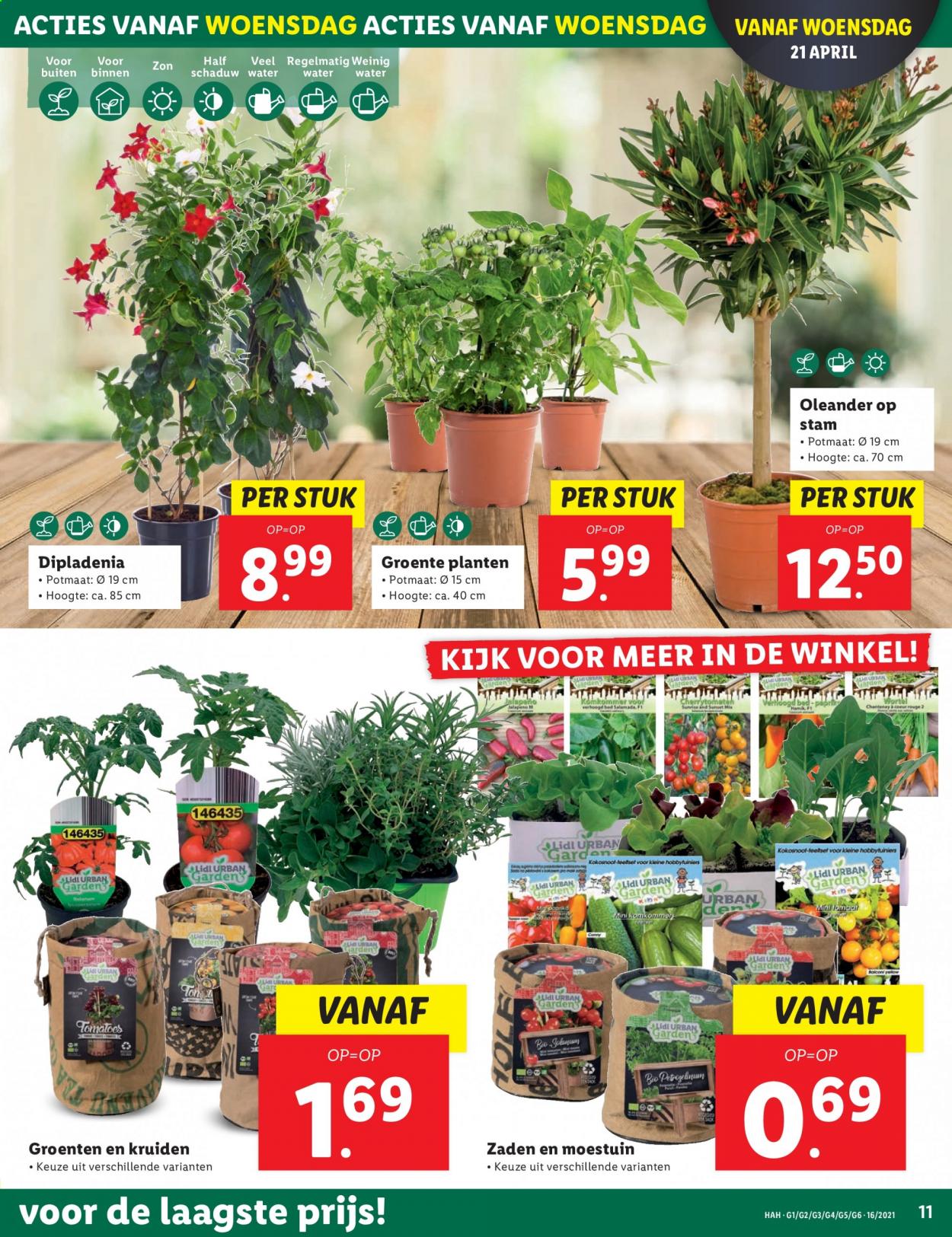 Lidl-aanbieding - 19-4-2021 - 25-4-2021. Pagina 11
