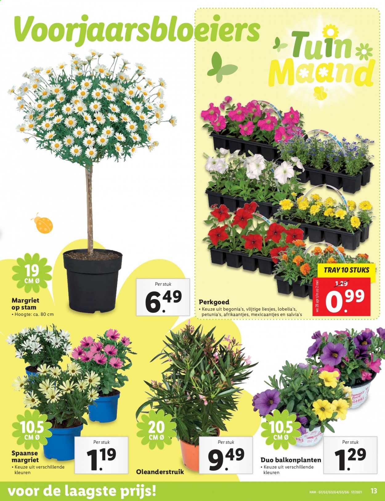 Lidl-aanbieding - 26-4-2021 - 2-5-2021. Pagina 13