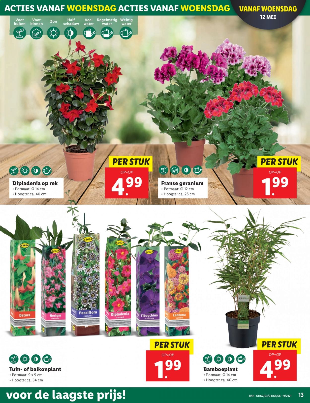 Lidl-aanbieding - 10-5-2021 - 16-5-2021. Pagina 13