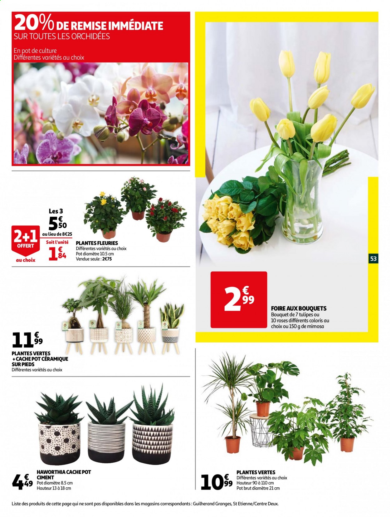 Catalogue Auchan - 12/01/2021 - 26/01/2021. Page 53