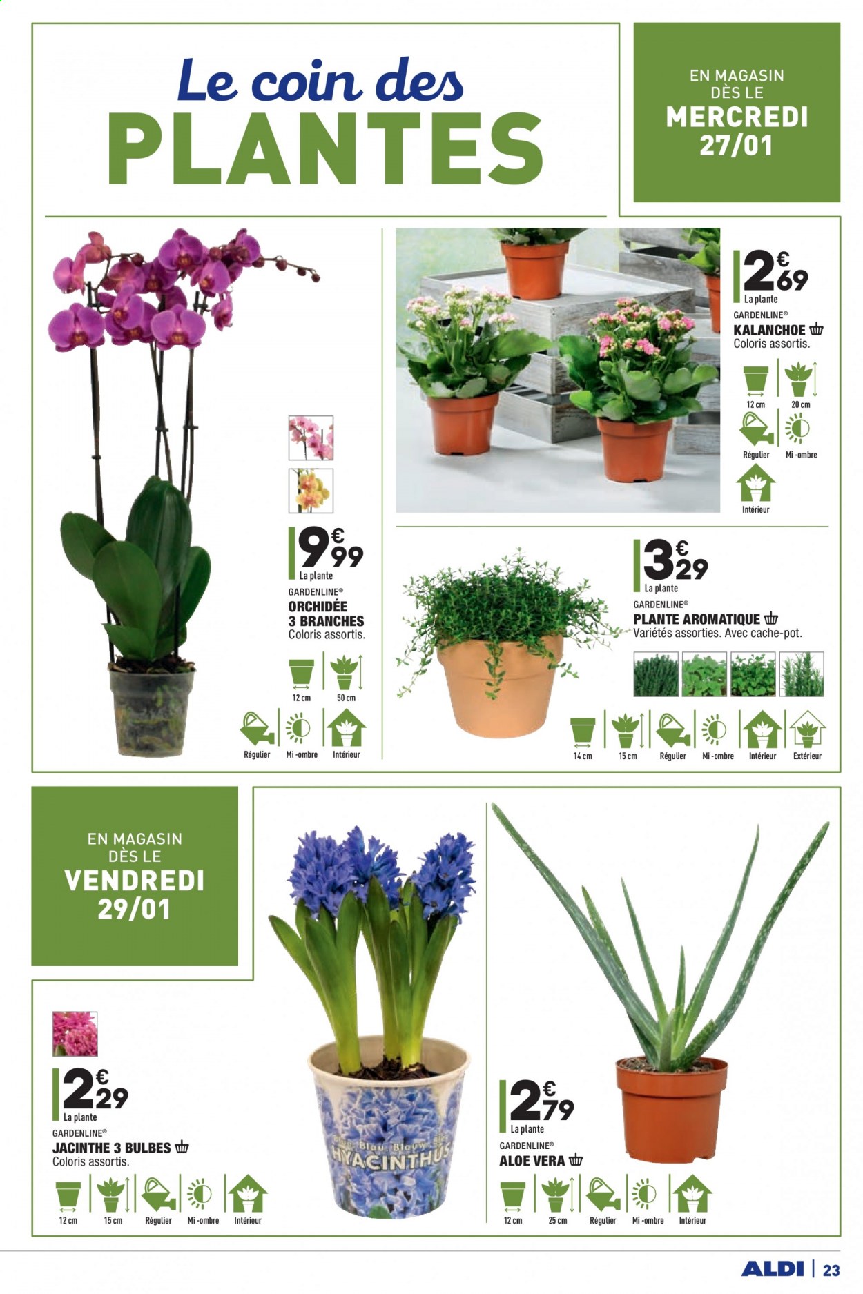 Catalogue ALDI - 26/01/2021 - 01/02/2021. Page 23