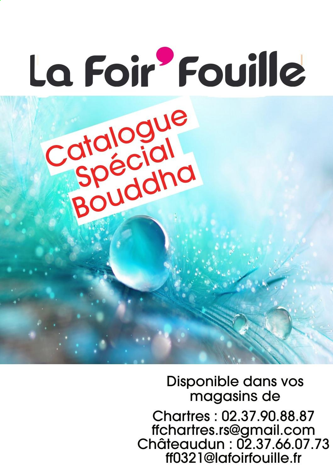 Catalogue La Foir'Fouille - 28/01/2021 - 17/02/2021. Page 1