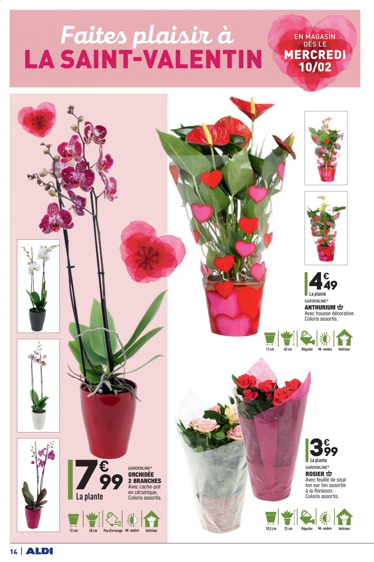 Catalogue ALDI - 09/02/2021 - 15/02/2021. Page 14