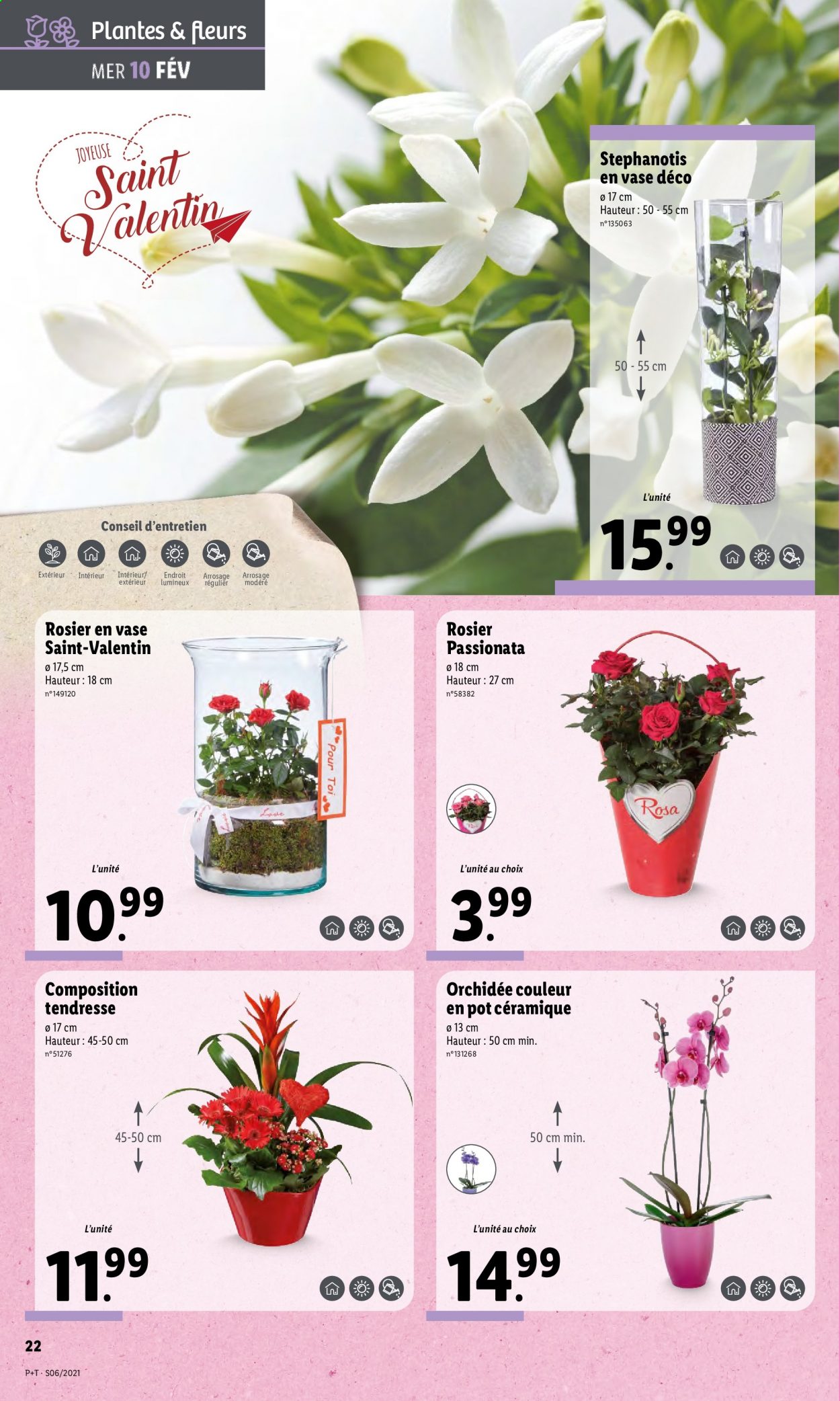 Catalogue Lidl - 10/02/2021 - 16/02/2021. Page 22