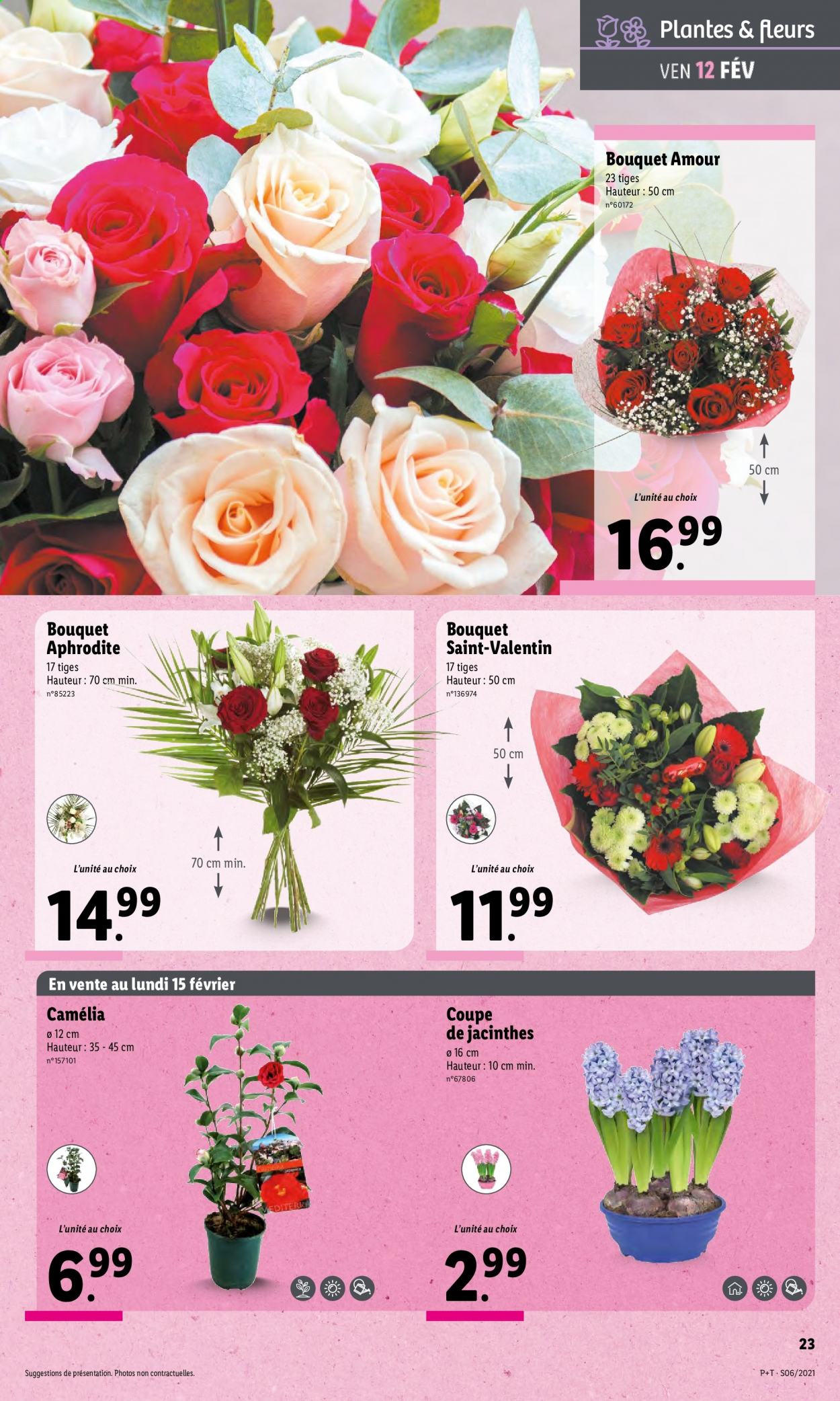 Catalogue Lidl - 10/02/2021 - 16/02/2021. Page 23