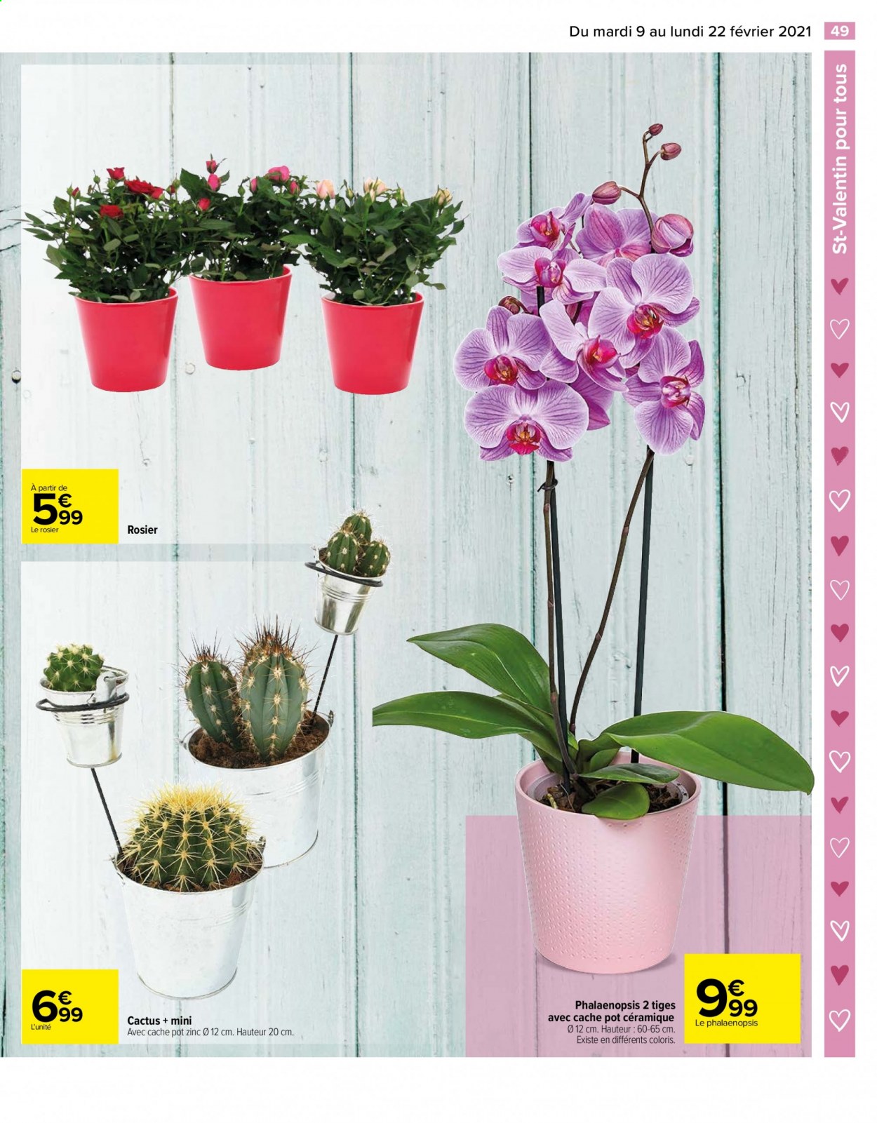Catalogue Carrefour Hypermarchés - 09/02/2021 - 22/02/2021. Page 50