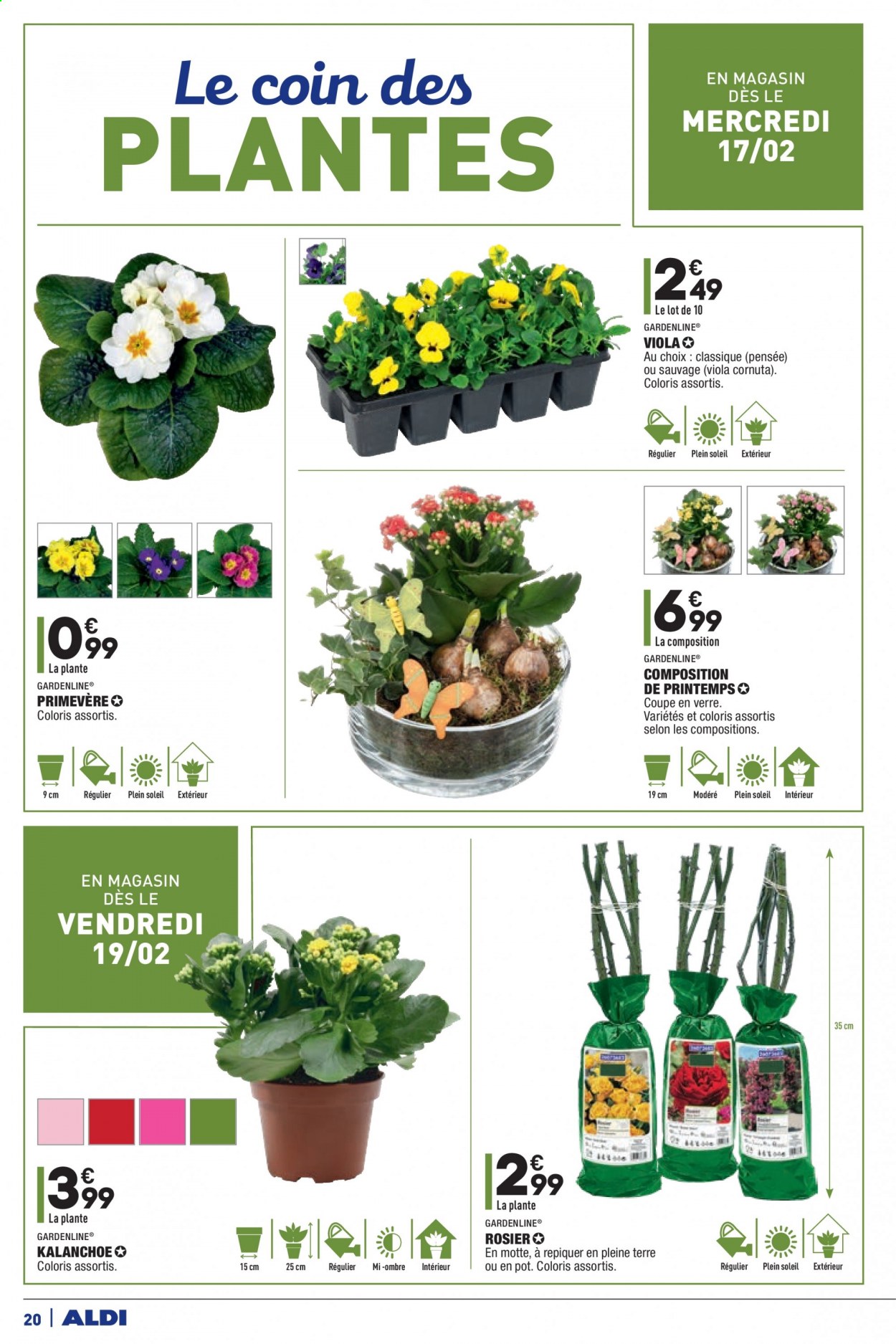 Catalogue ALDI - 16/02/2021 - 22/02/2021. Page 20