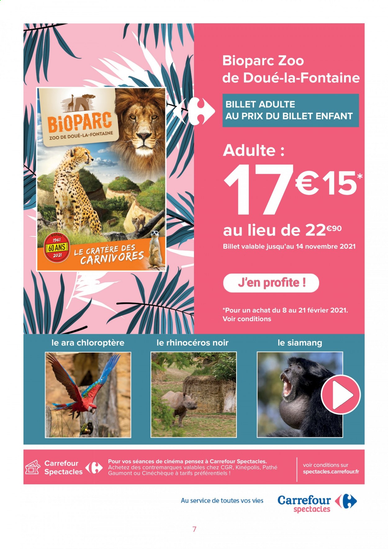 Catalogue Carrefour Hypermarchés - 08/02/2021 - 21/02/2021. Page 7