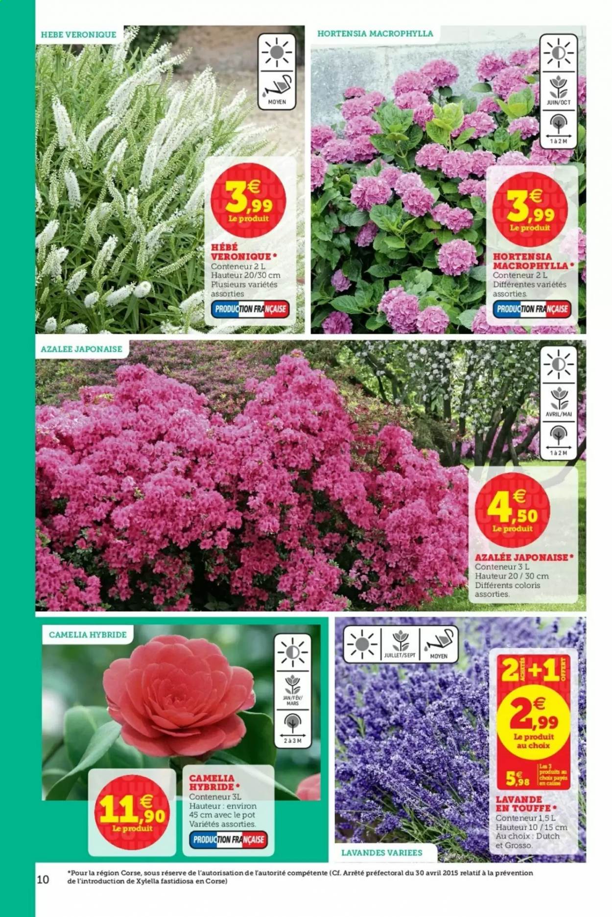 Catalogue HYPER U - 16/02/2021 - 13/03/2021. Page 10