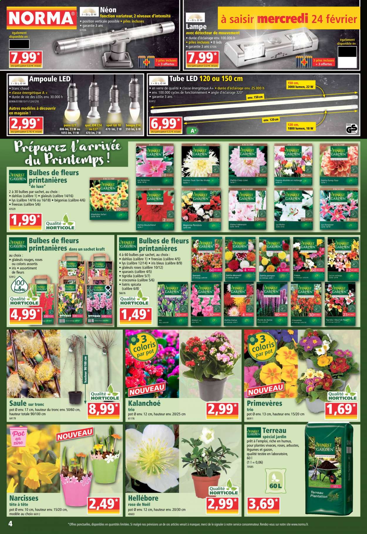 Catalogue Norma - 24/02/2021 - 02/03/2021. Page 4