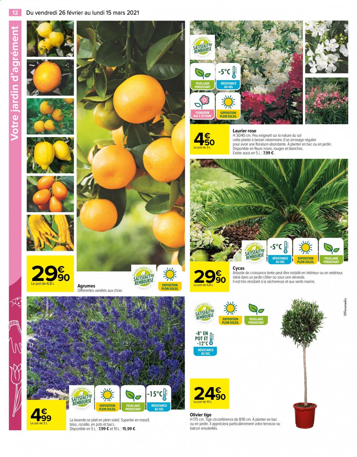 Catalogue Carrefour Hypermarchés - 26/02/2021 - 15/03/2021. Page 12