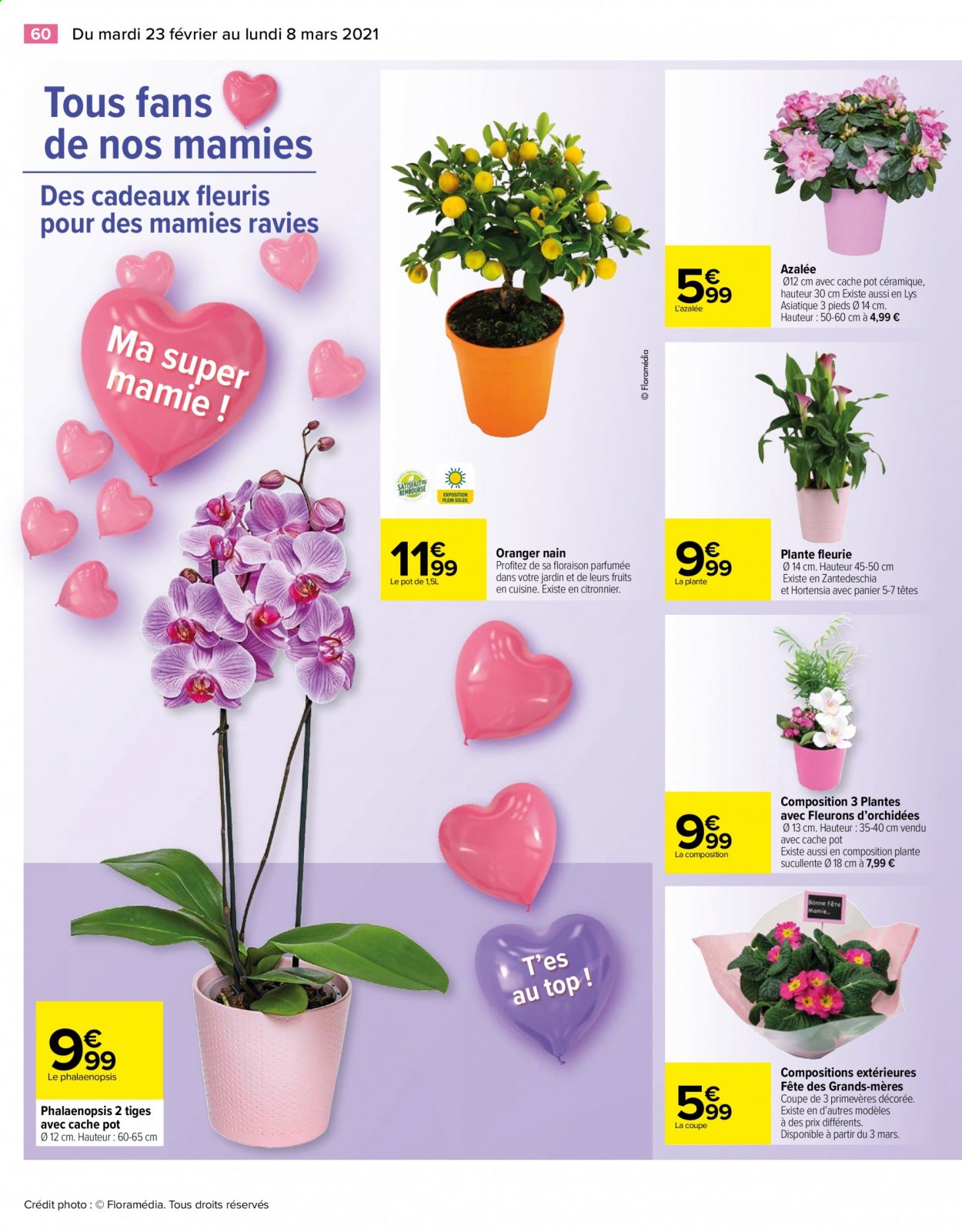 Catalogue Carrefour Hypermarchés - 23/02/2021 - 08/03/2021. Page 60