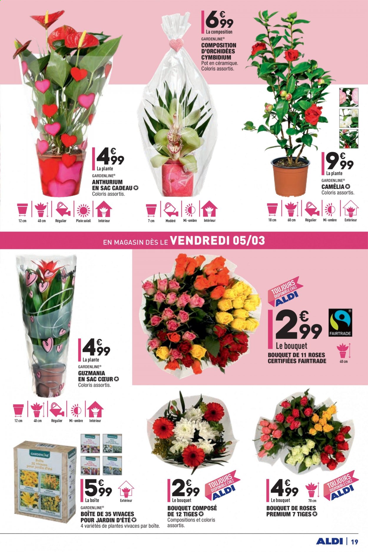 Catalogue ALDI - 02/03/2021 - 08/03/2021. Page 19