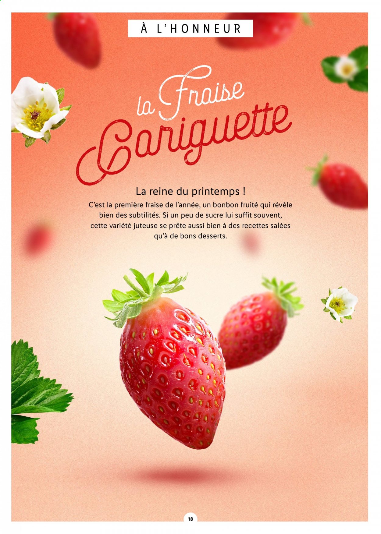 Catalogue Lidl - 03/03/2021 - 06/04/2021. Page 18