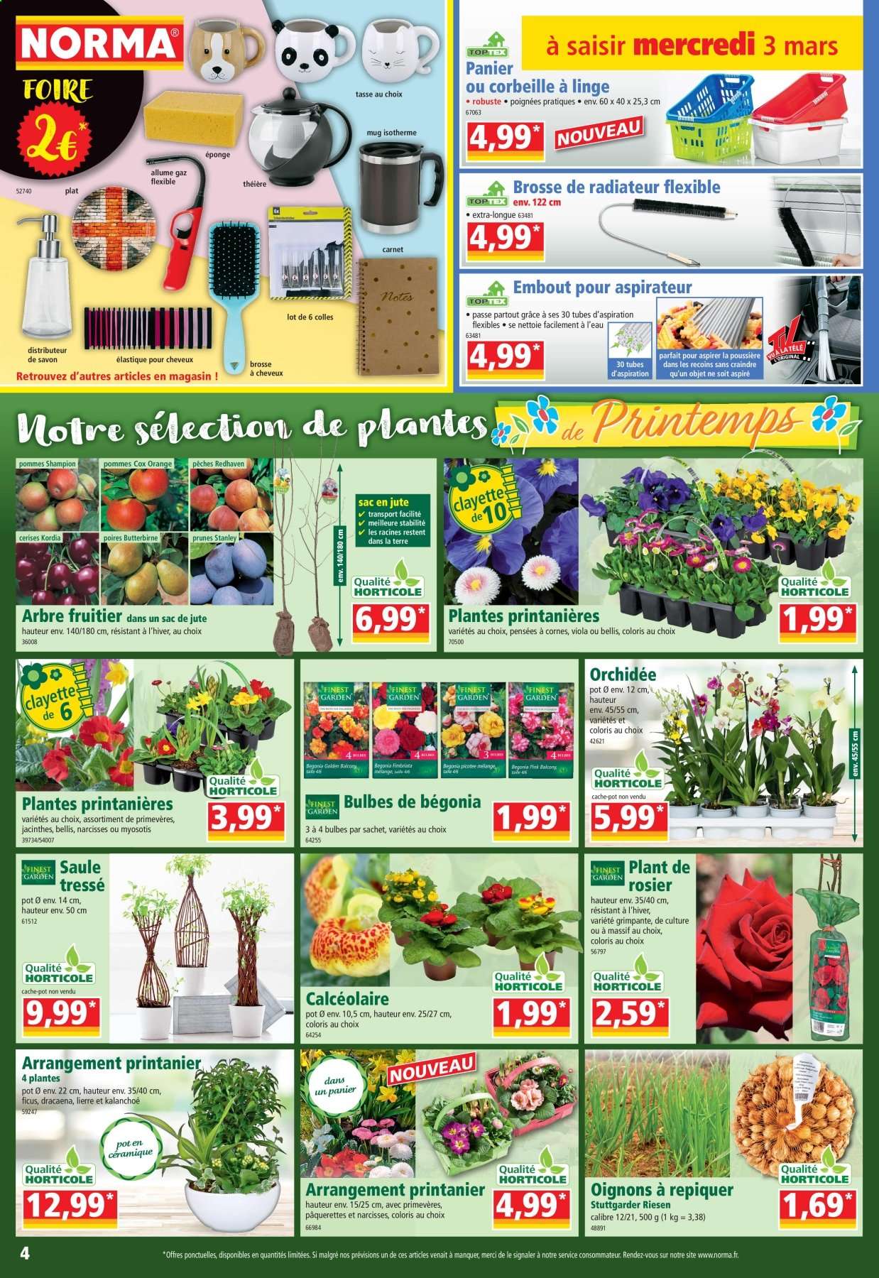 Catalogue Norma - 03/03/2021 - 09/03/2021. Page 4