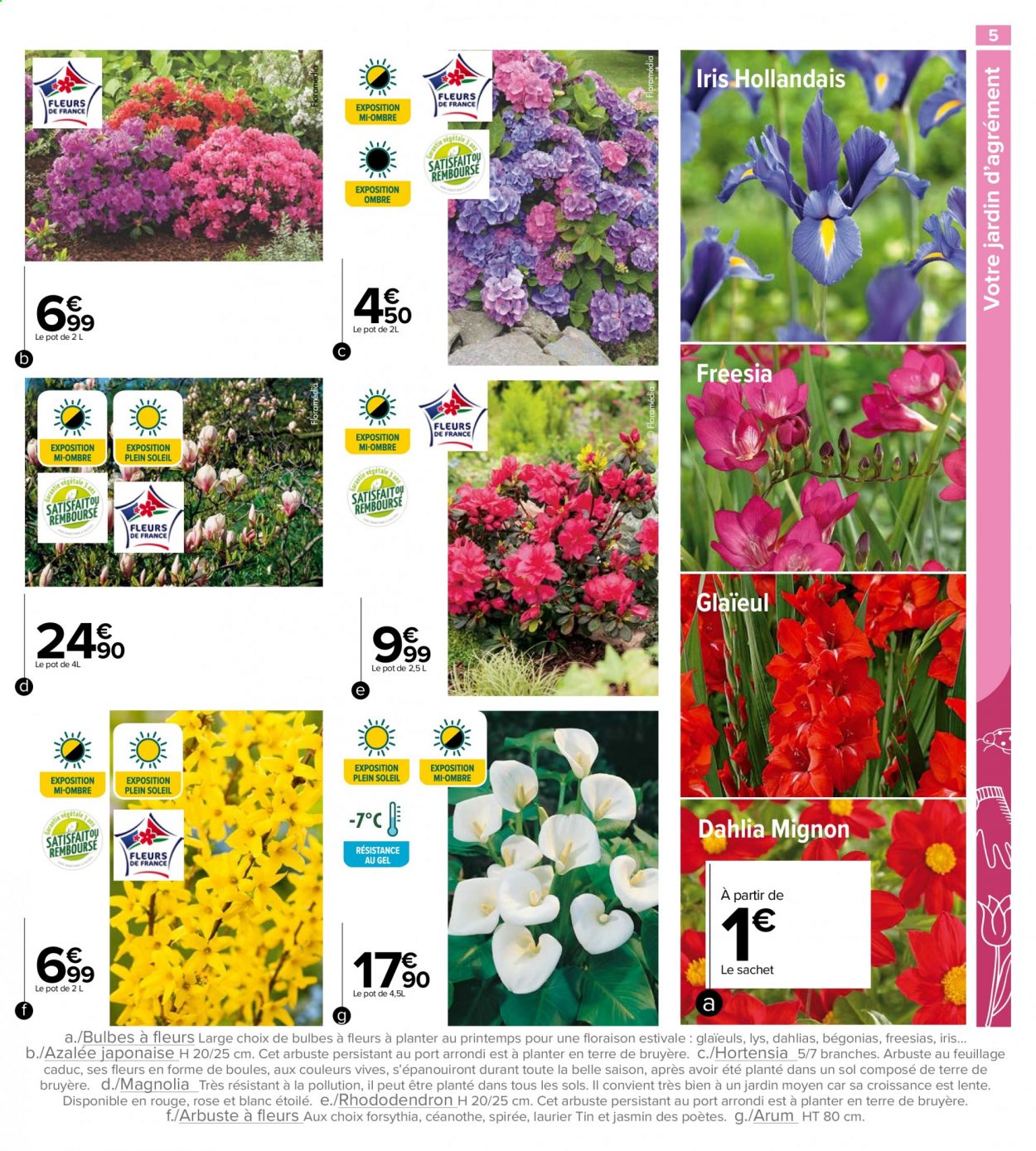 Catalogue Carrefour Market - 02/03/2021 - 28/03/2021. Page 5