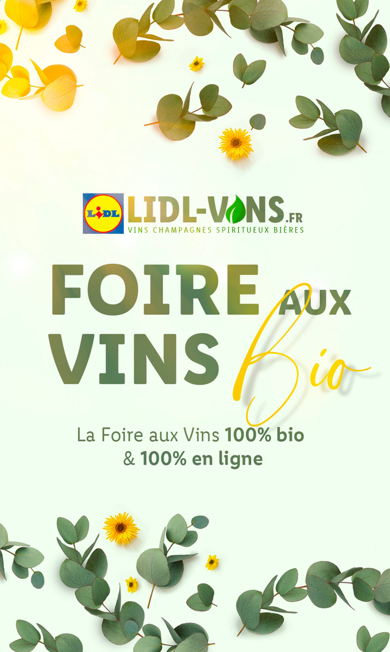 Catalogue Lidl. Page 1