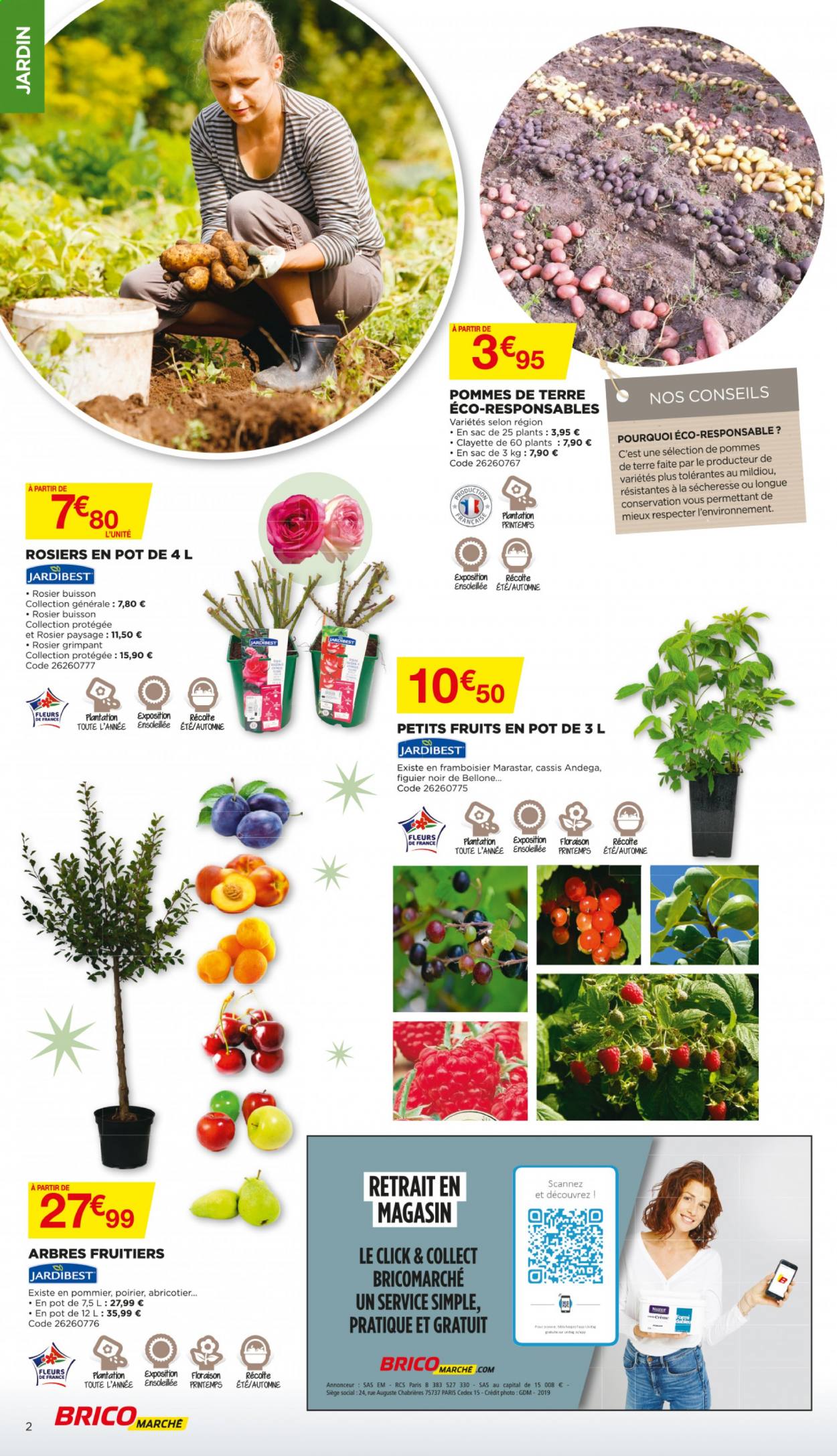 thumbnail - Catalogue Bricomarché - 10/03/2021 - 21/03/2021 - Produits soldés - arbre fruitier, rosier, framboisier, figuier. Page 2.