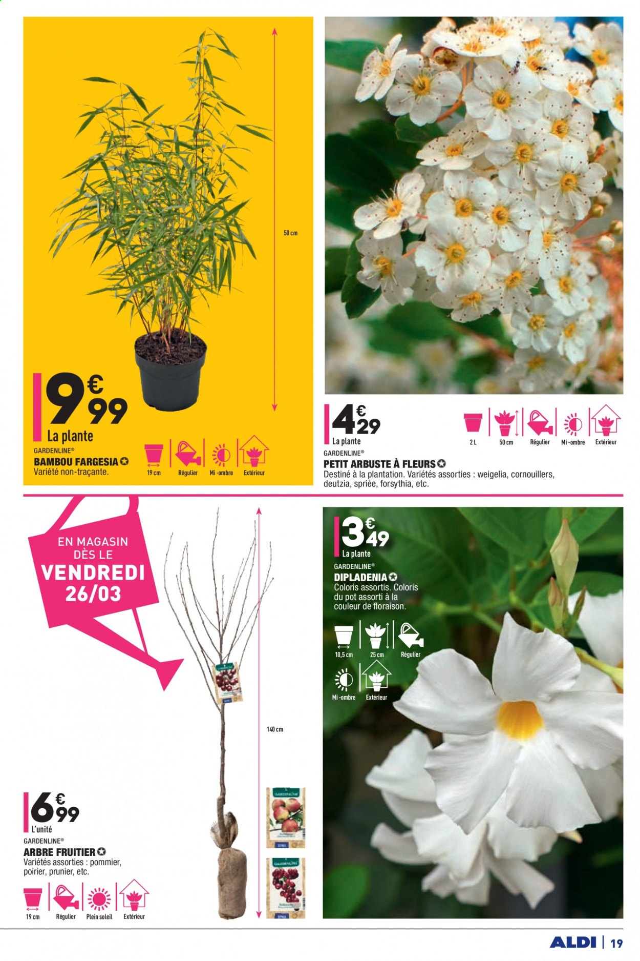 Catalogue ALDI - 23/03/2021 - 29/03/2021. Page 19