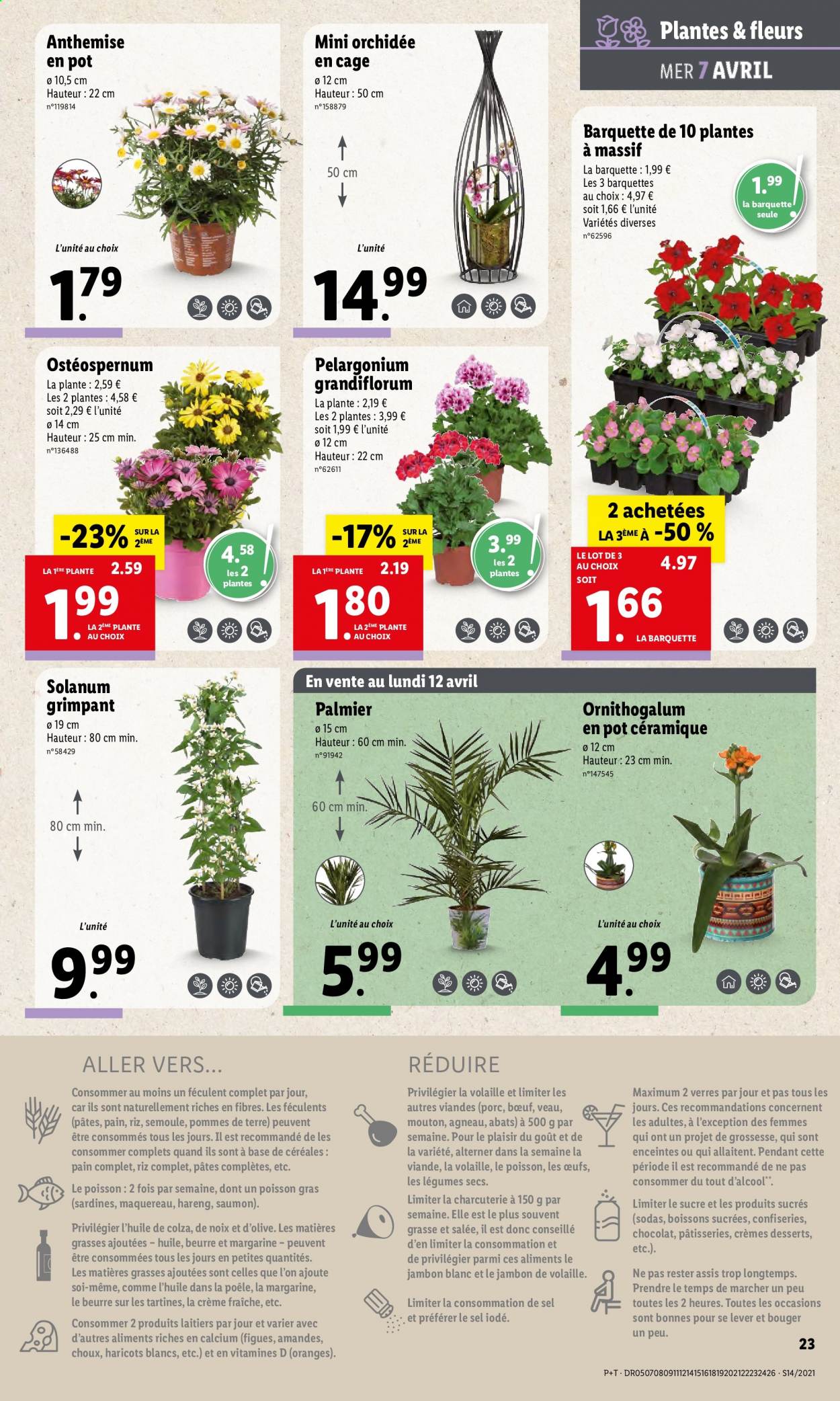Catalogue Lidl - 07/04/2021 - 13/04/2021. Page 25