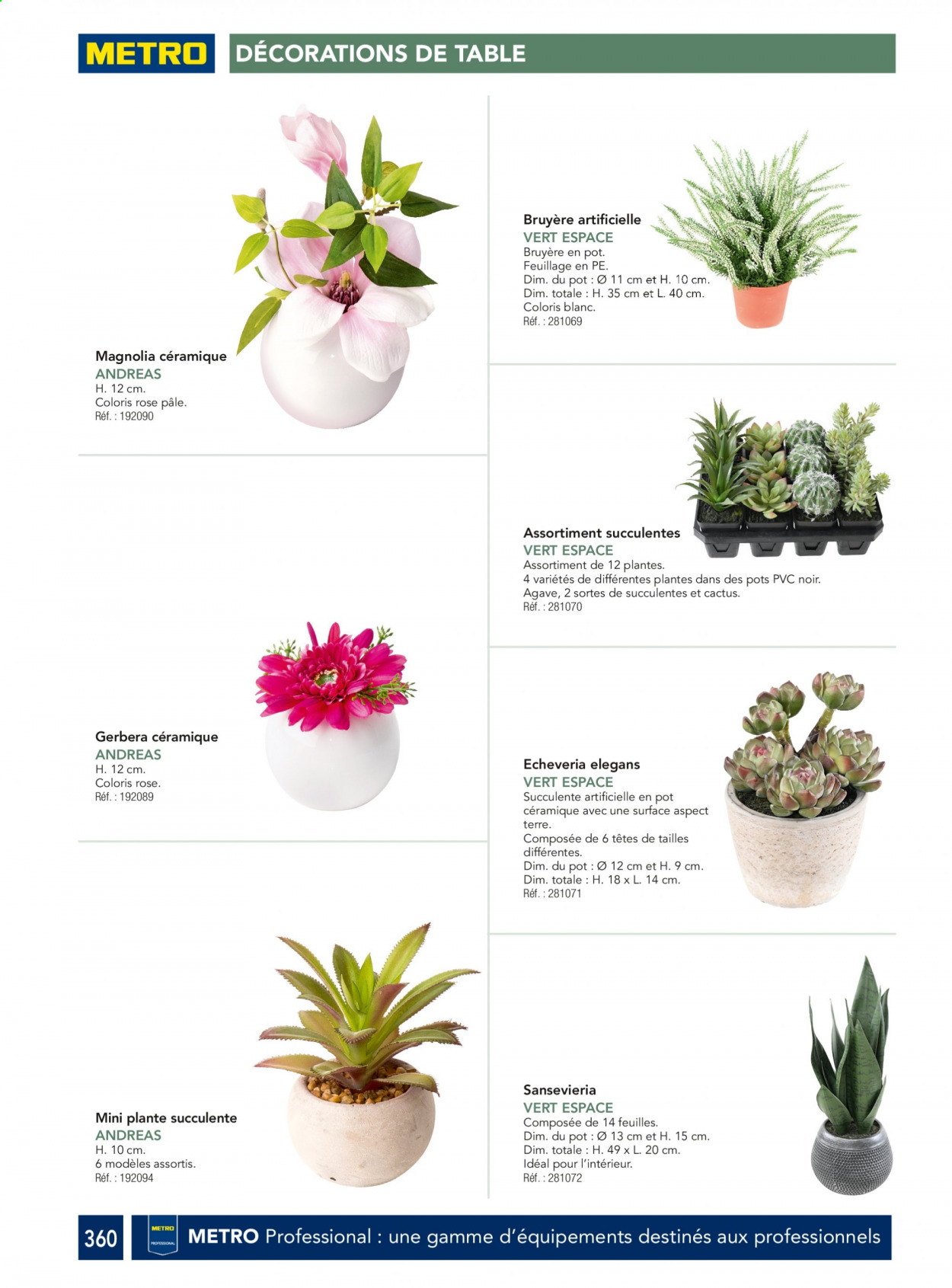 thumbnail - Catalogue Metro - Produits soldés - cactus, succulente, bruyère. Page 360.