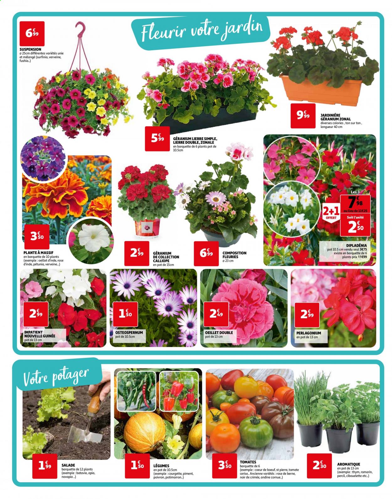 thumbnail - Catalogue Auchan - 14/04/2021 - 24/04/2021 - Produits soldés - tomates, salade, salade batavia, courgette, potimarron, poivrons, piment, thym, romarin, fleur, dipladenia, jardinière. Page 2.