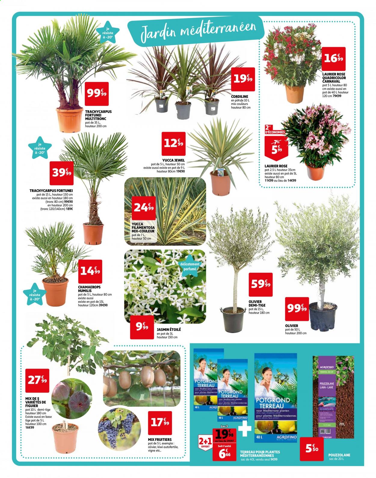 thumbnail - Catalogue Auchan - 14/04/2021 - 24/04/2021 - Produits soldés - kiwi, figuier, terreau, laurier rose, olivier, yucca, chamaerops. Page 3.