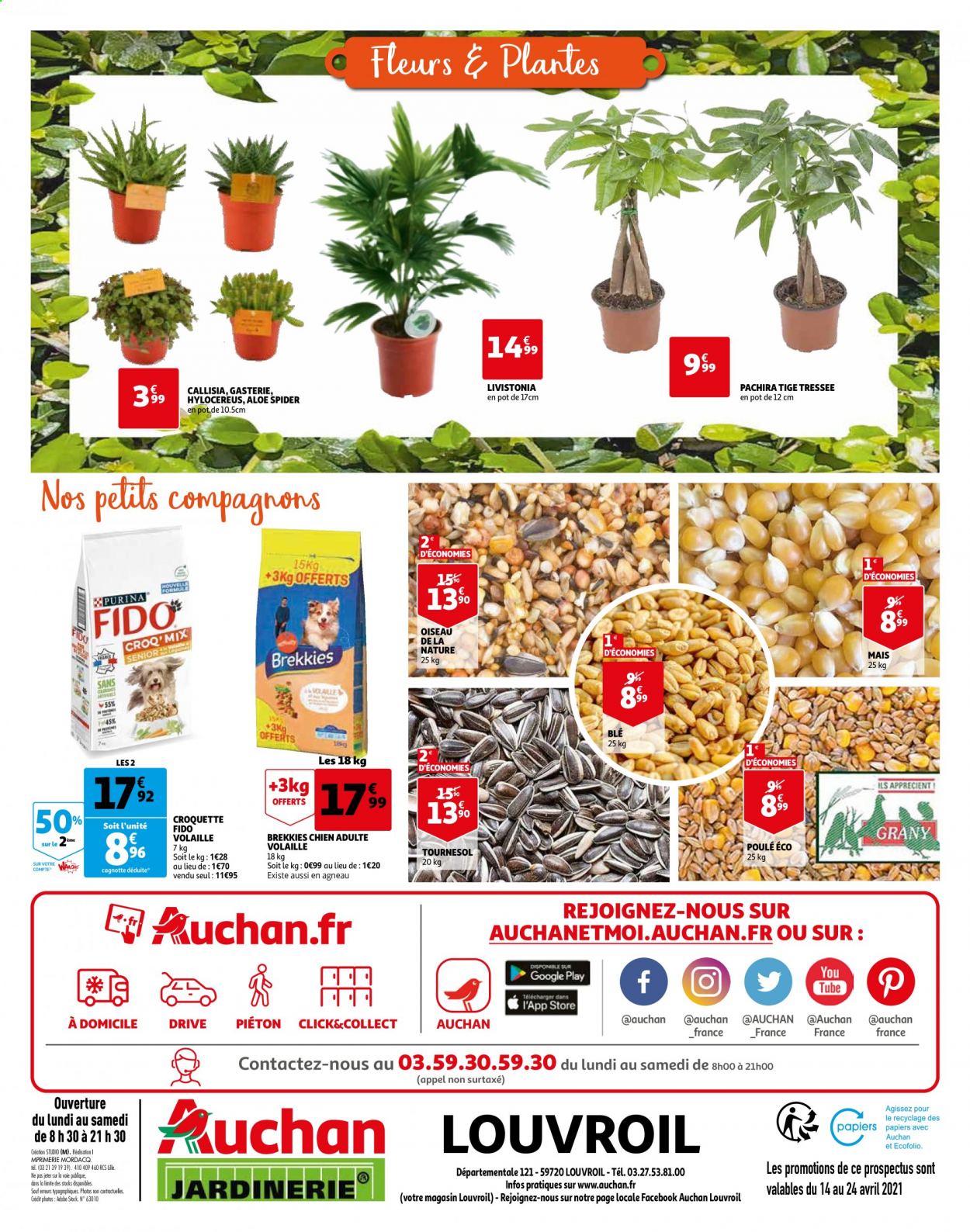 thumbnail - Catalogue Auchan - 14/04/2021 - 24/04/2021 - Produits soldés - Brekkies, FIDO, fleur. Page 4.