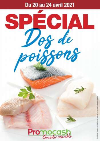 Catalogue Promocash - 20.04.2021 - 24.04.2021.