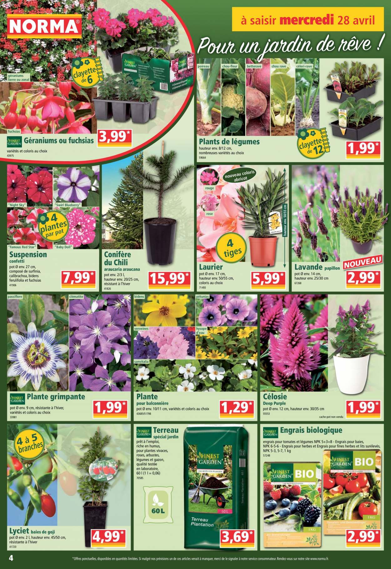Catalogue Norma - 28/04/2021 - 04/05/2021. Page 4