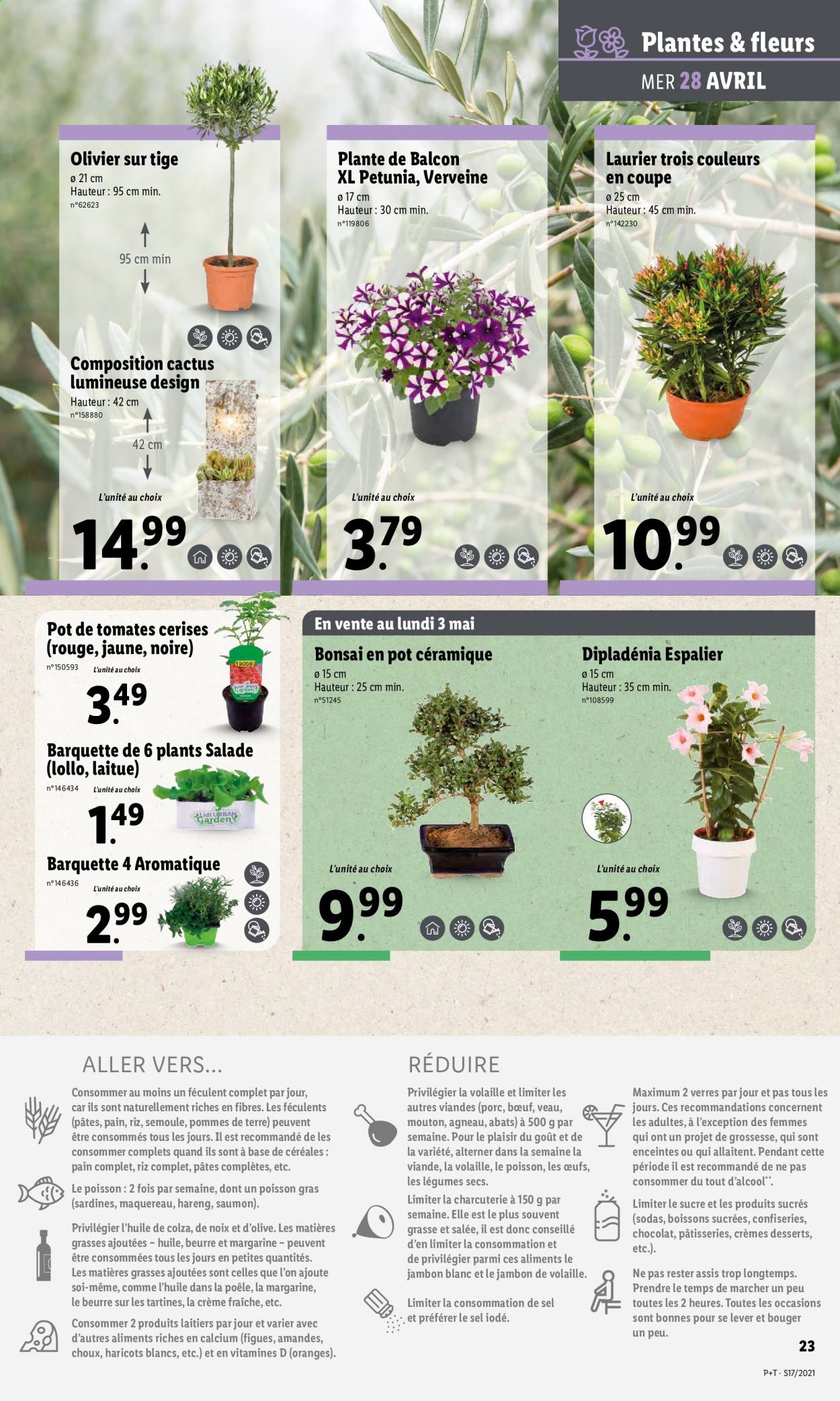 Catalogue Lidl - 28/04/2021 - 04/05/2021. Page 27