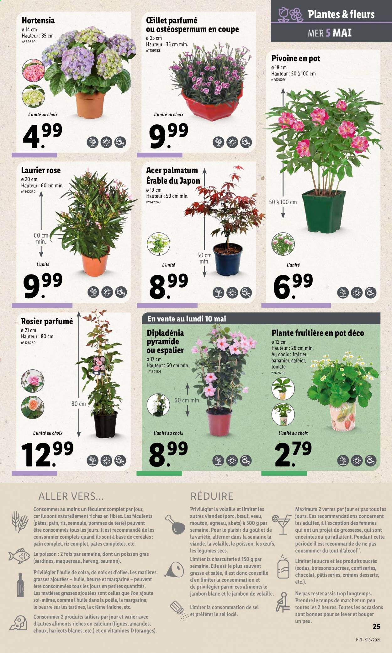 Catalogue Lidl - 05/05/2021 - 11/05/2021. Page 29