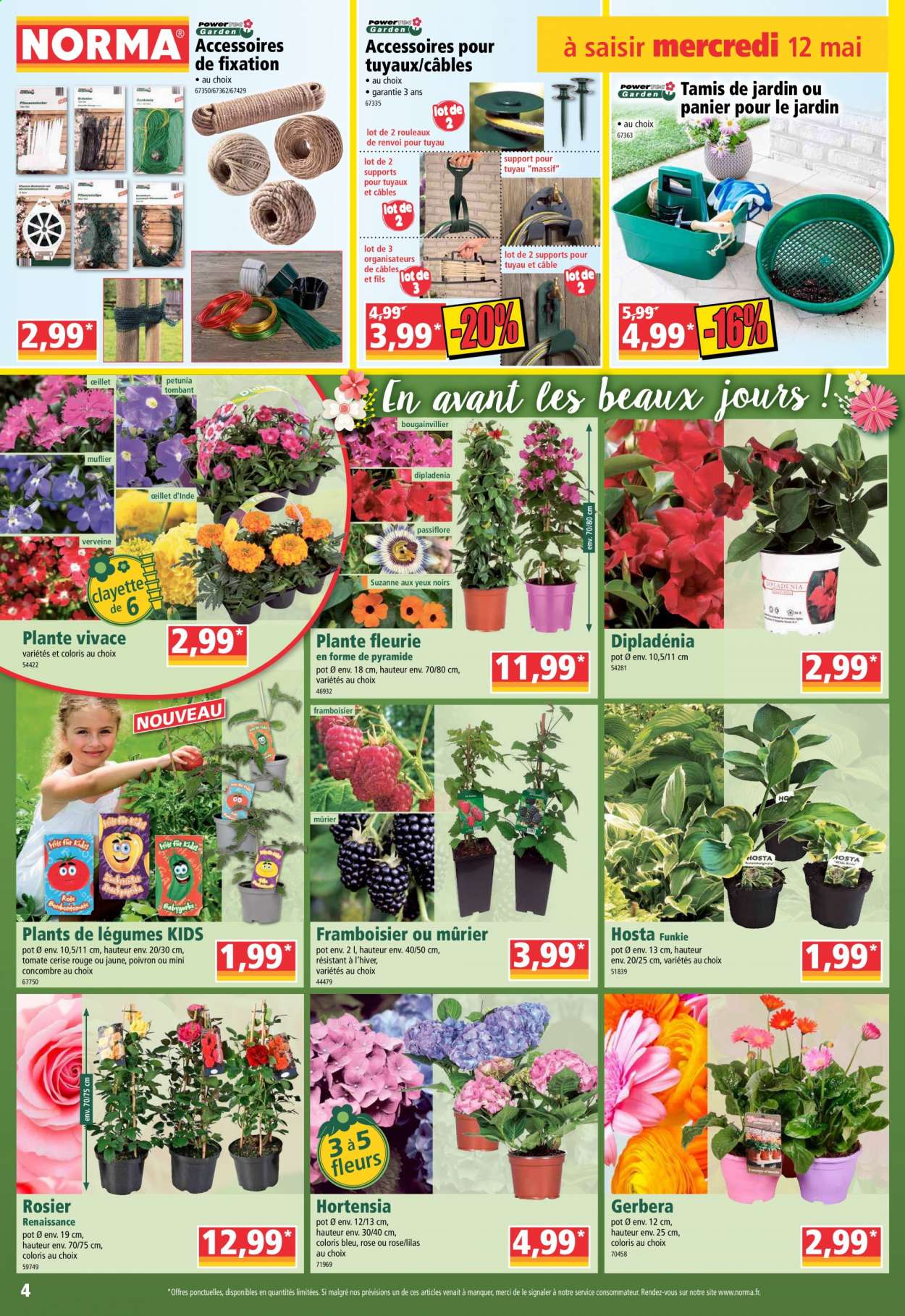 Catalogue Norma - 12/05/2021 - 18/05/2021. Page 4