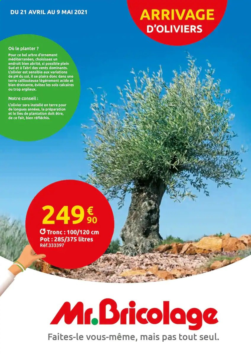 thumbnail - Catalogue Mr. Bricolage - 21/04/2021 - 09/05/2021 - Produits soldés - olivier, arbre d'ornement. Page 1.
