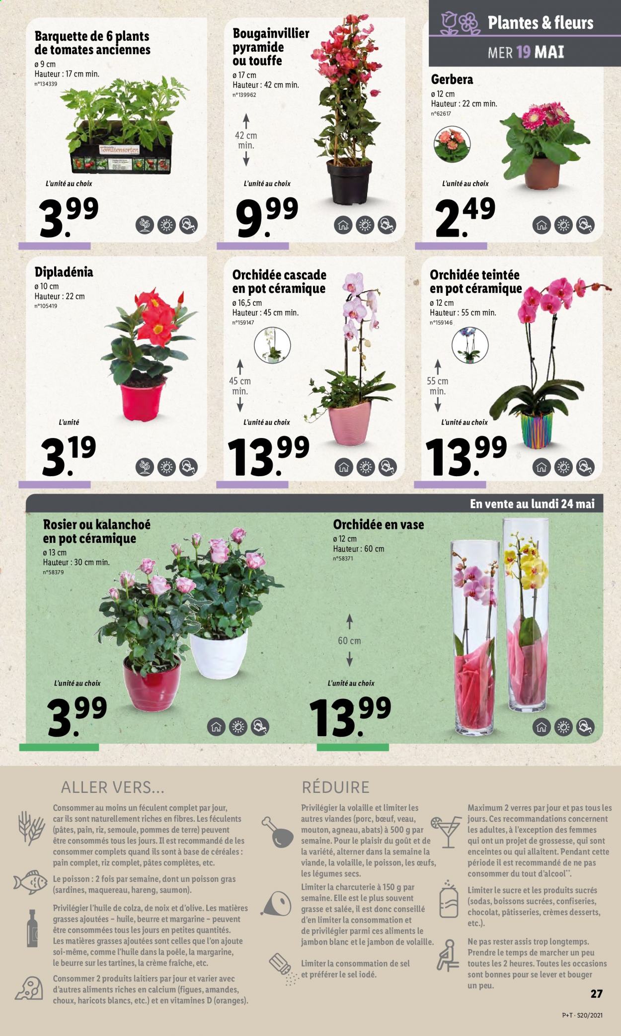 Catalogue Lidl - 19/05/2021 - 25/05/2021. Page 31